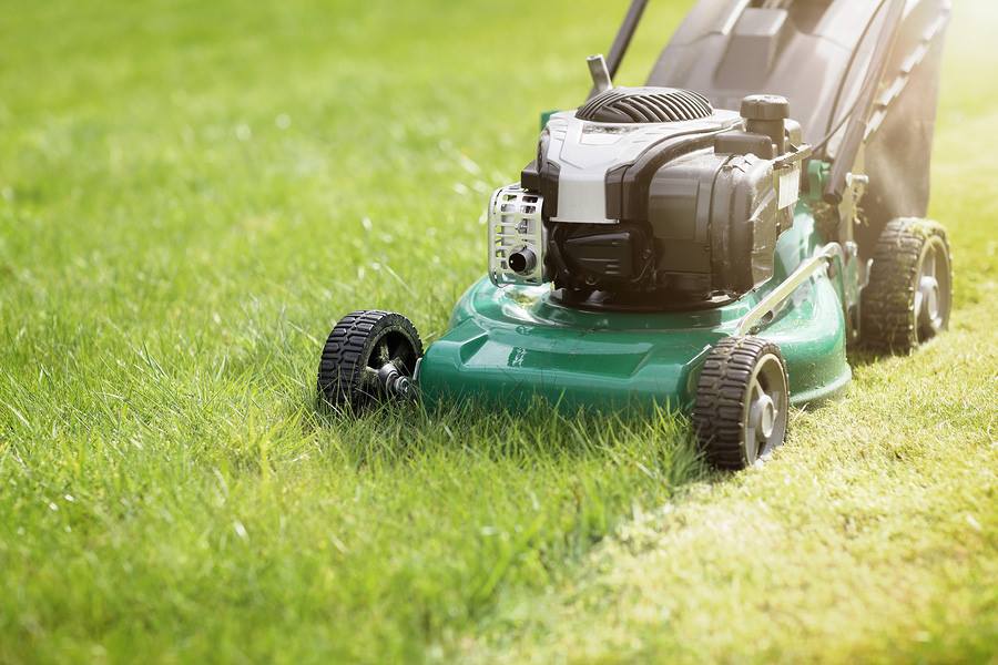 Achieve Green Glory: Expert Tips for Lawn Maintenance in Aurora, IL!