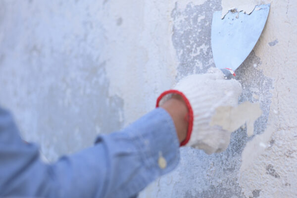 DIY vs. Professional Lead Paint Removal: What You Need to Know lead paint removal Scottsdale AZ