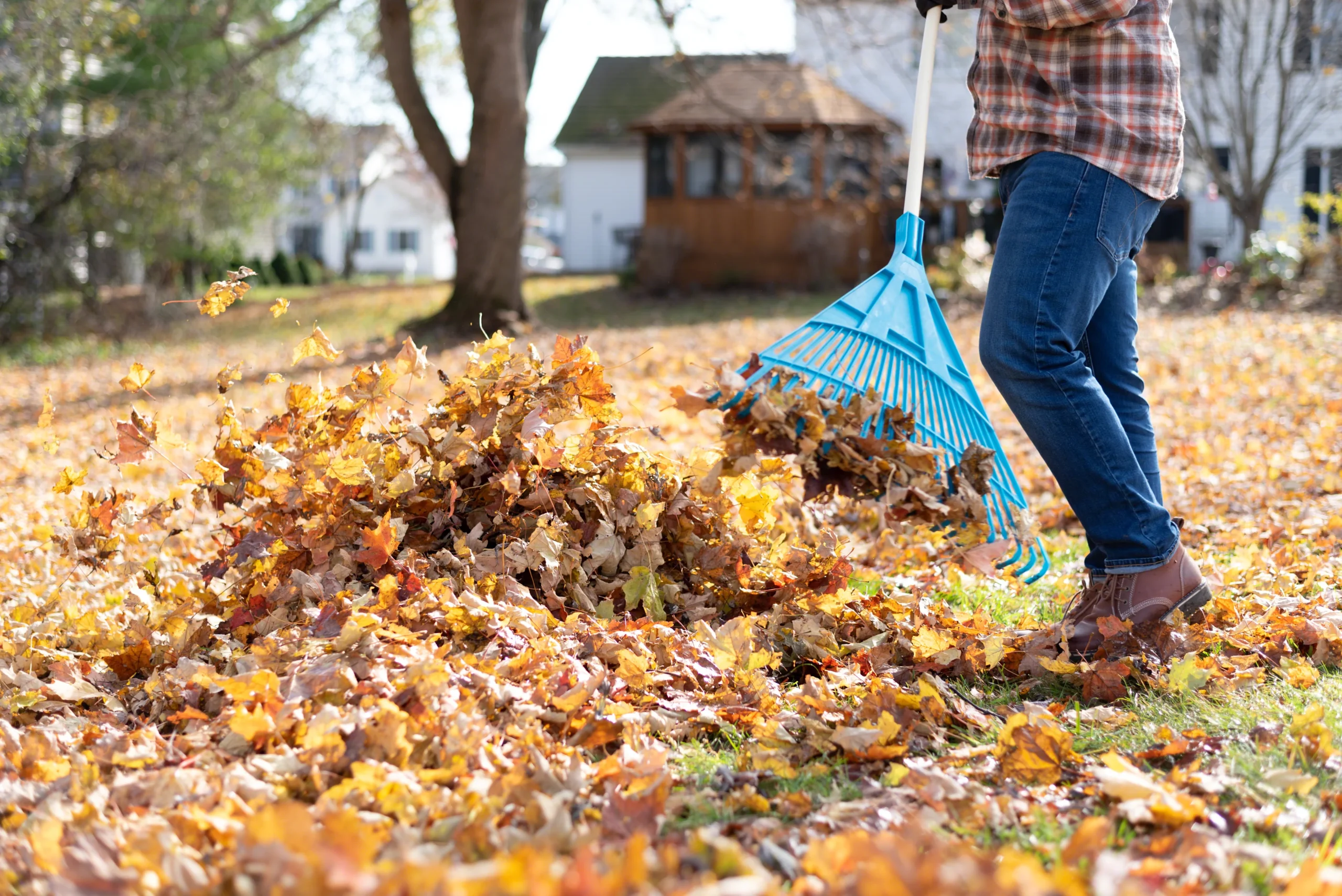 leaf removal Henderson NV