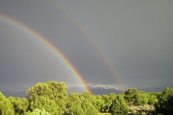 wellness retreats Arizona